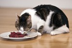 Bild "Beratungen:img_18049.thumb.jpg"