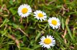 Bild "Therapien:img_10205.thumb.jpg"